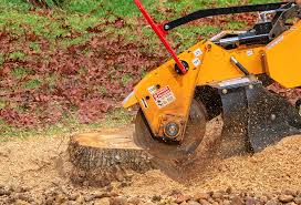 Best Tree Maintenance Programs  in Marion, VA